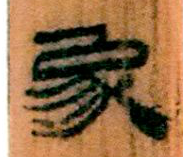 �������ϸ����