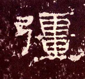 �������ϸ����