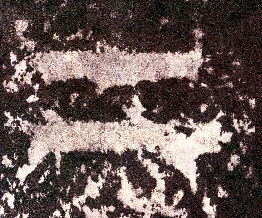 �������ϸ����