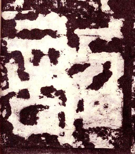 �������ϸ����