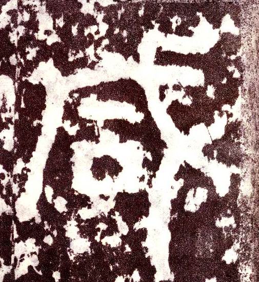 �������ϸ����