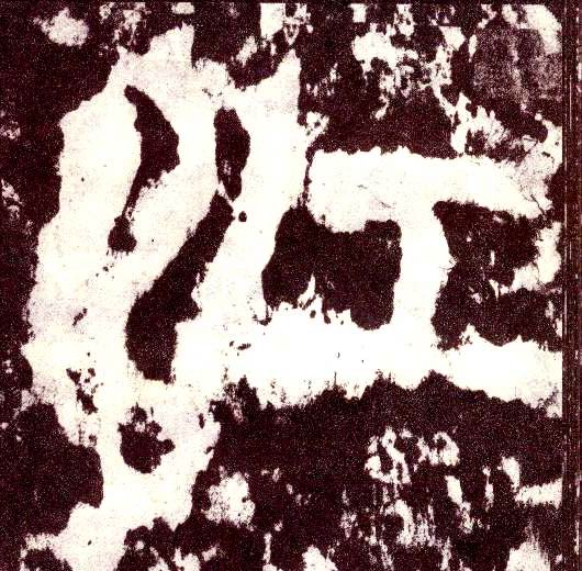 �������ϸ����