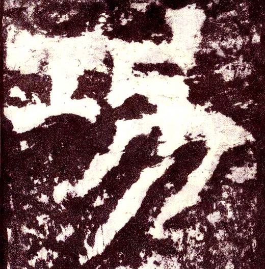 �������ϸ����