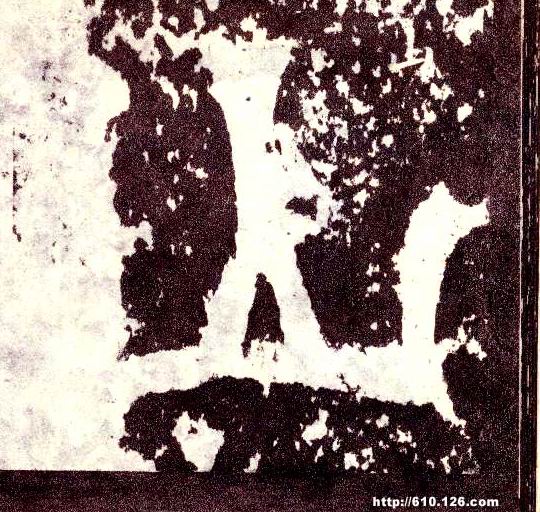 �������ϸ����