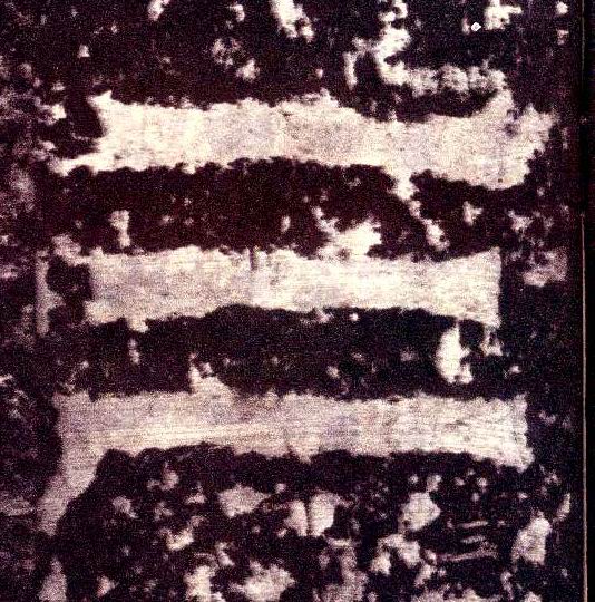 �������ϸ����