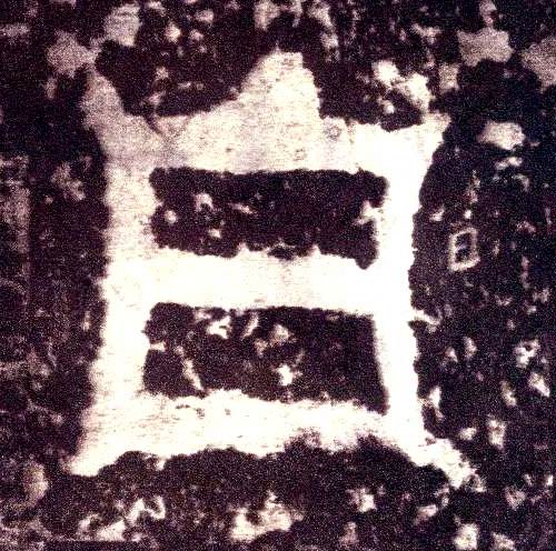 �������ϸ����