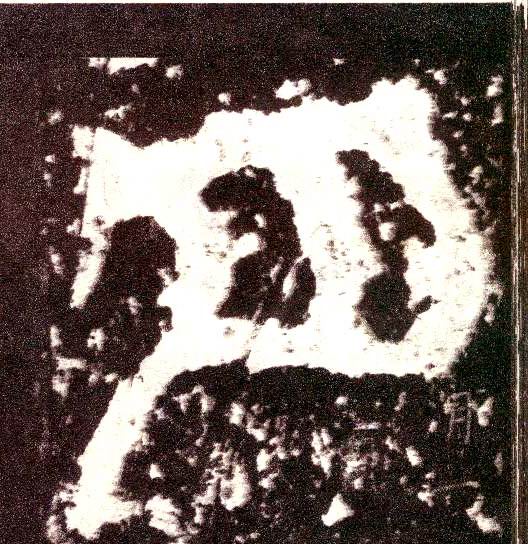 �������ϸ����