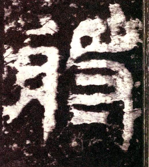 �������ϸ����