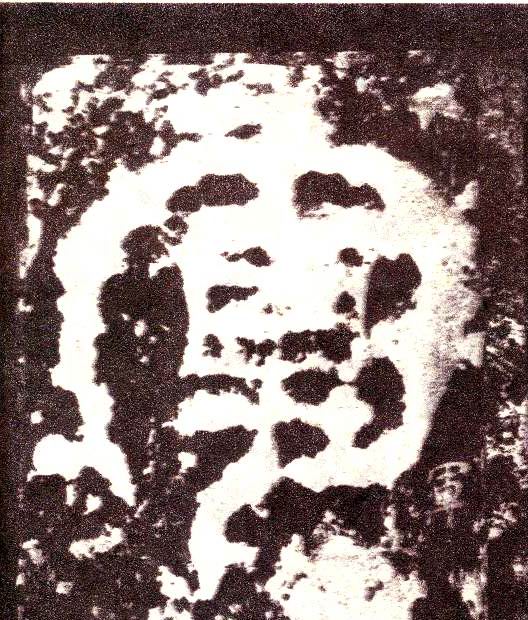 �������ϸ����