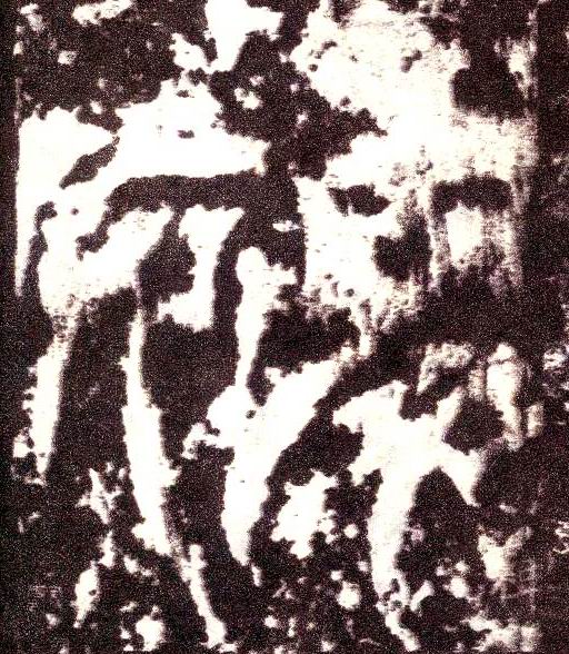 �������ϸ����