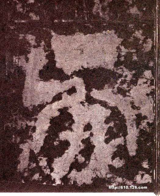 �������ϸ����