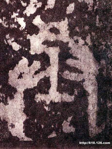 �������ϸ����