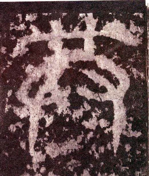 �������ϸ����