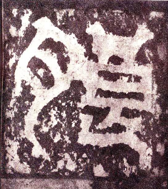 �������ϸ����