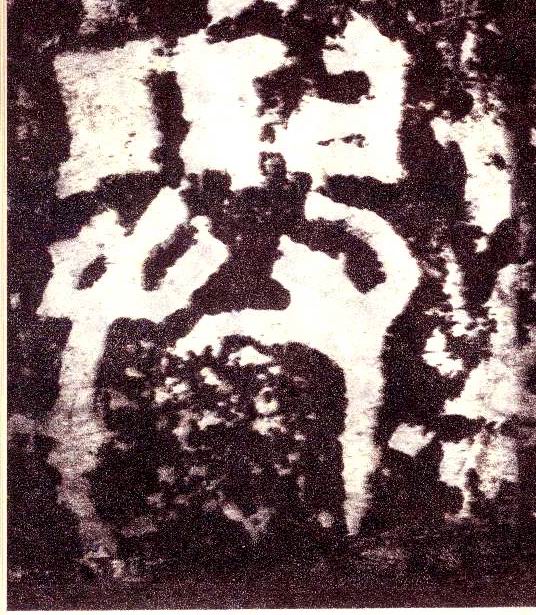 �������ϸ����