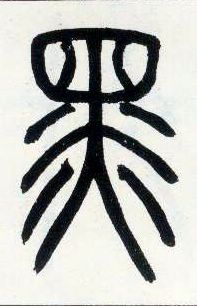 �������ϸ����