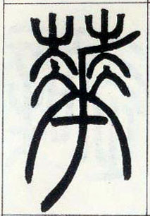 �������ϸ����