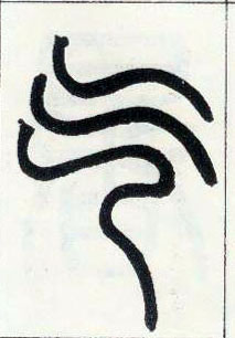 �������ϸ����