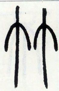 �������ϸ����