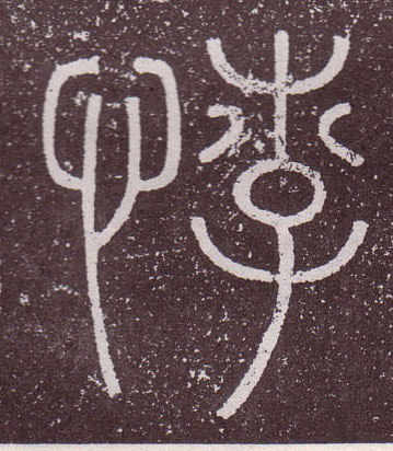 �������ϸ����