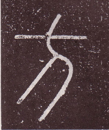 �������ϸ����