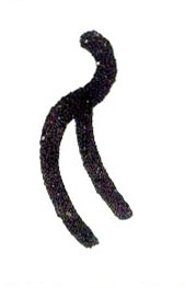 �������ϸ����