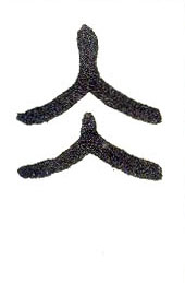 �������ϸ����