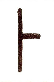 �������ϸ����