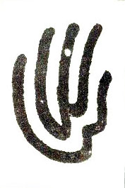 �������ϸ����