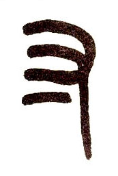 �������ϸ����