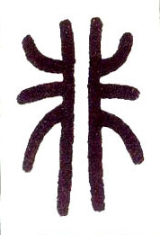 �������ϸ����