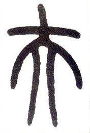 �������ϸ����