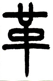 �������ϸ����