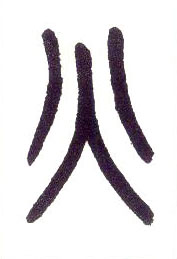 �������ϸ����