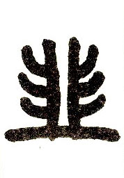 �������ϸ����