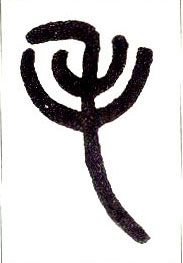 �������ϸ����