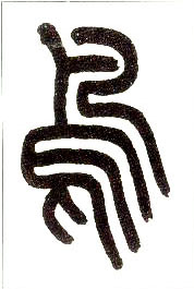 �������ϸ����