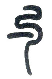 �������ϸ����