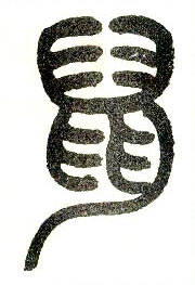 �������ϸ����