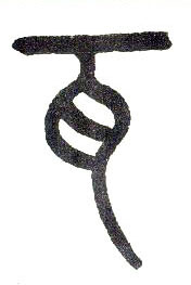 �������ϸ����