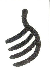 �������ϸ����