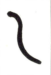 �������ϸ����