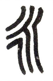 �������ϸ����