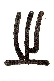 �������ϸ����