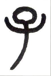 �������ϸ����