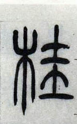 �������ϸ����