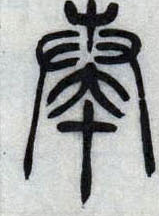 �������ϸ����