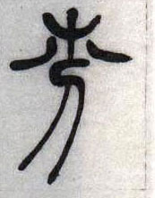 �������ϸ����