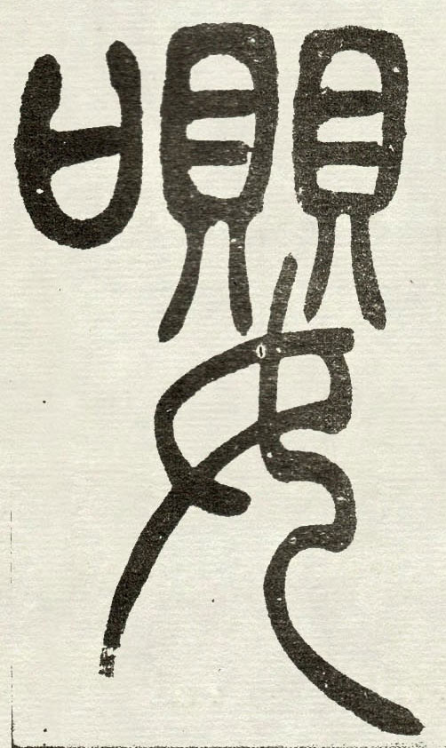 �������ϸ����