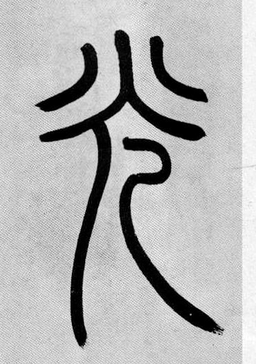 �������ϸ����